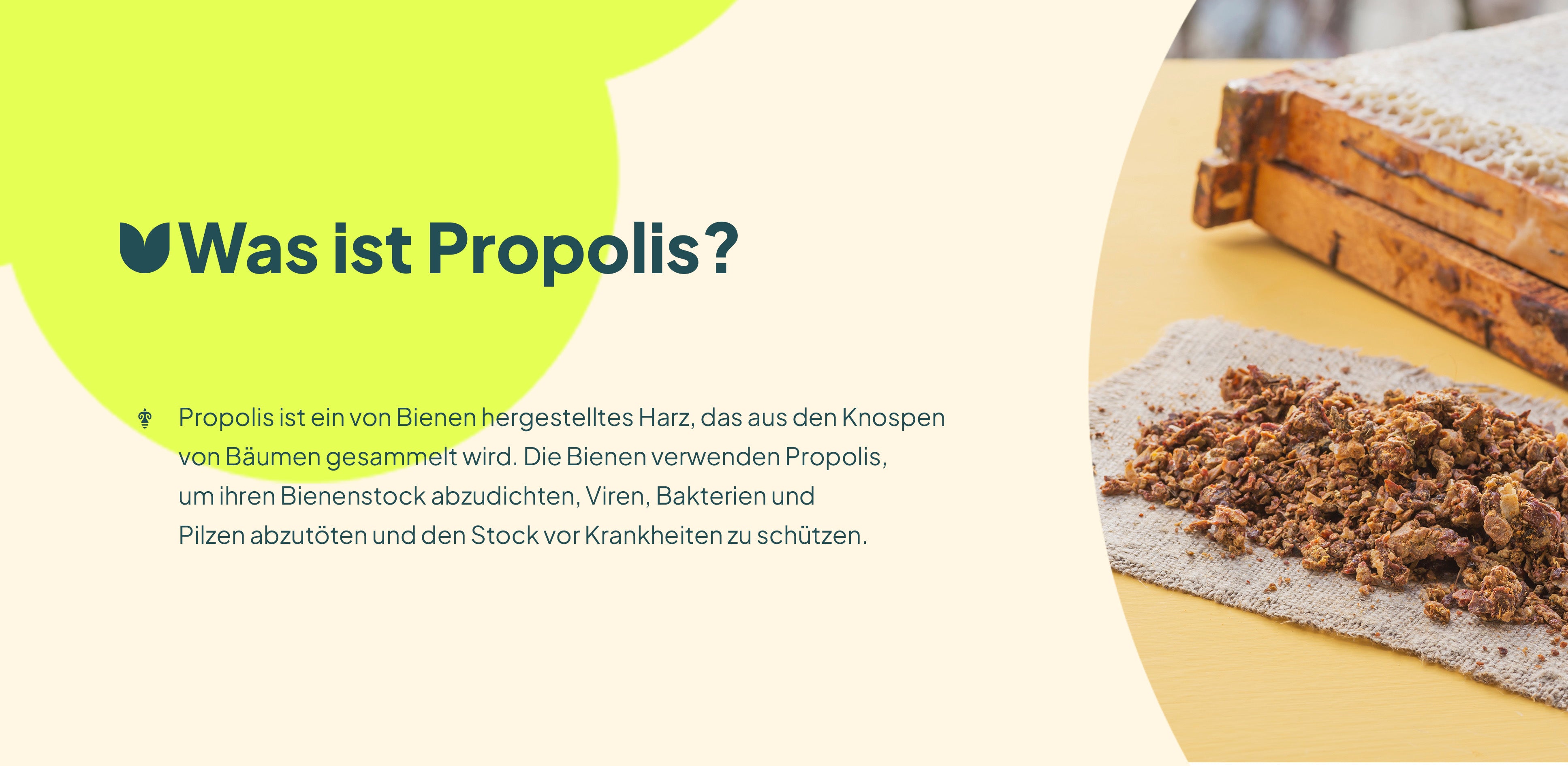 Propolis Spray & Halsspray A+ 4